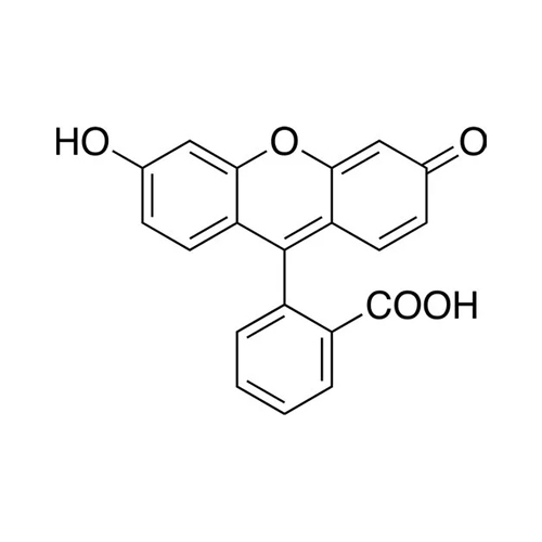 5 Fluorescein