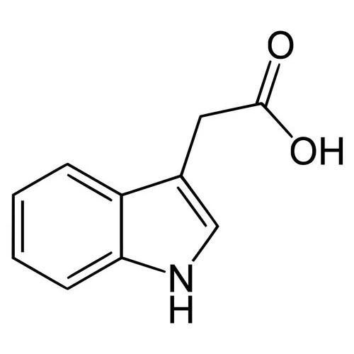 Indole-3-Acetic Acid