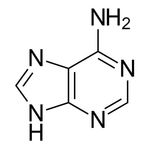 73-24-5 Adenine Sulphate Application: Industrial