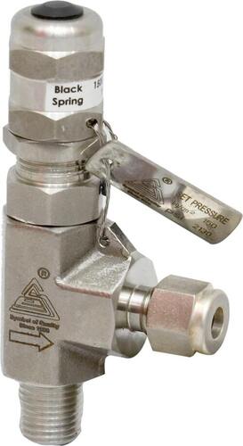 SS 304 SAFETY VALVE