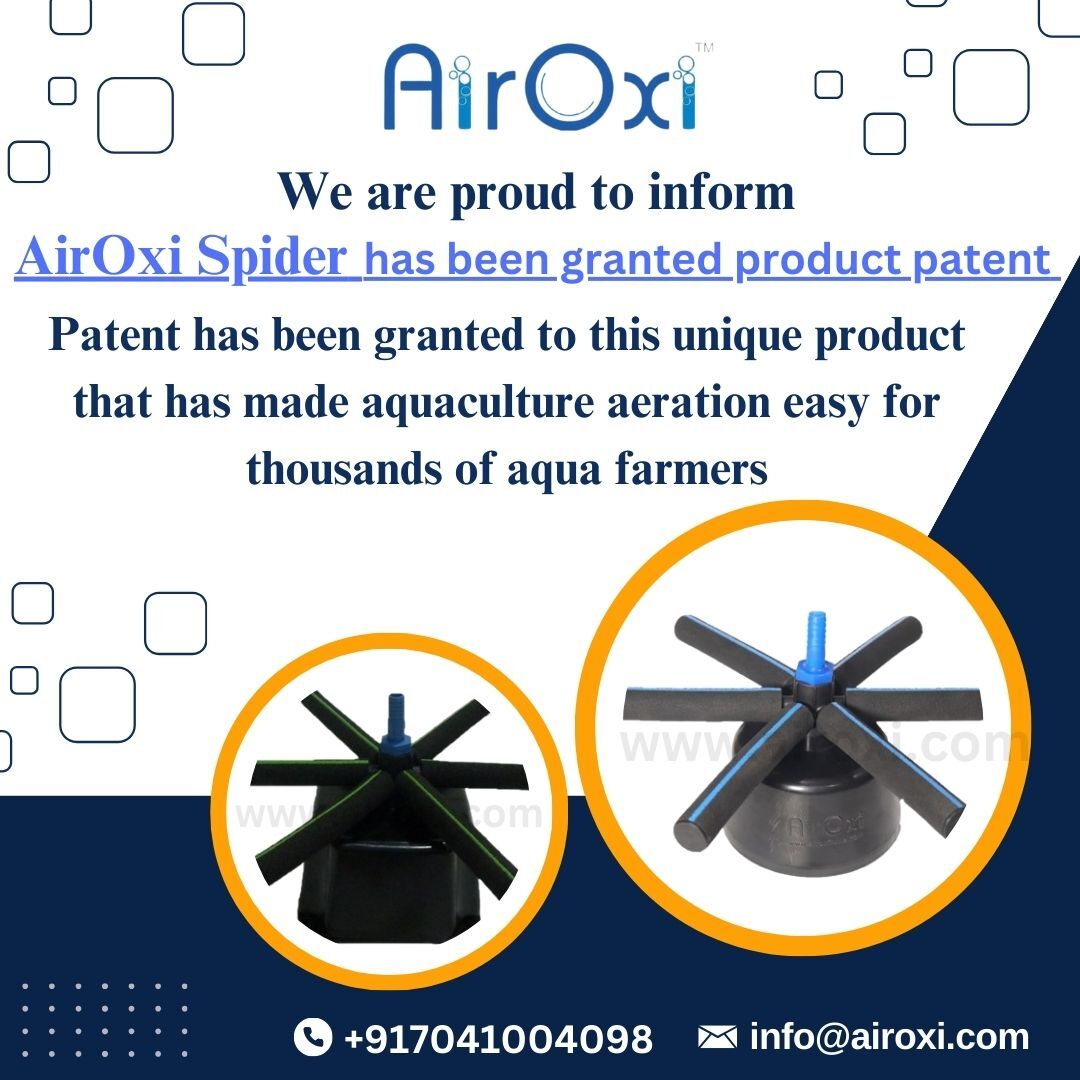Airoxi Spider