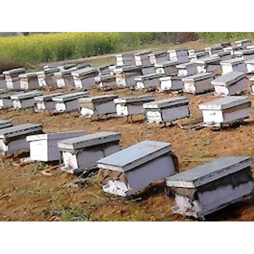 Bee Hives