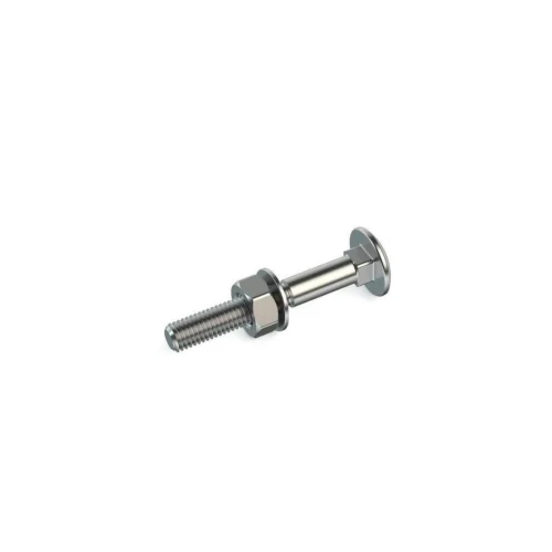 SS Carriage Bolt