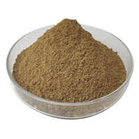 Fish Meal Powder