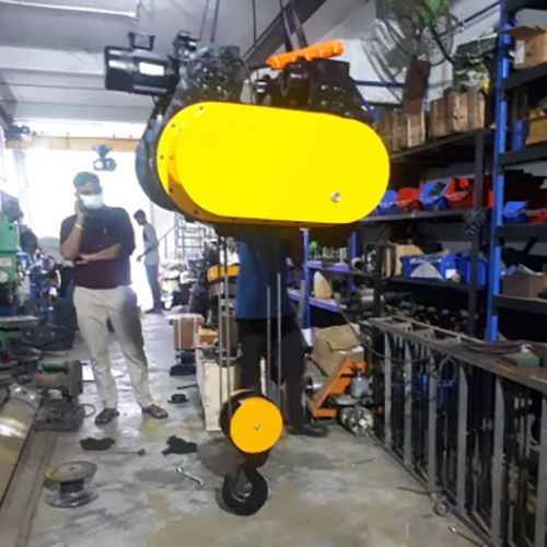 Electric Wire Hoist Crane