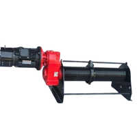 Industrial Electric Winch Capacity: 5 Tons/year