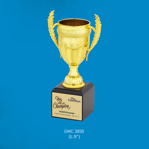 The Guardian Cup