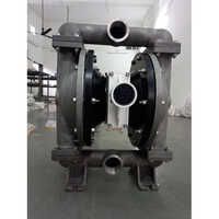 Black Stainless Steel Diaphragm Pump