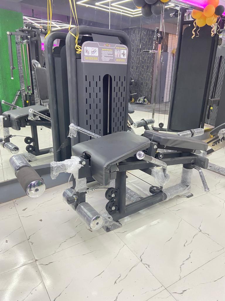 Leg Extension  Curl Machine