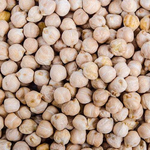 White Chickpea Moisture (%): Nill