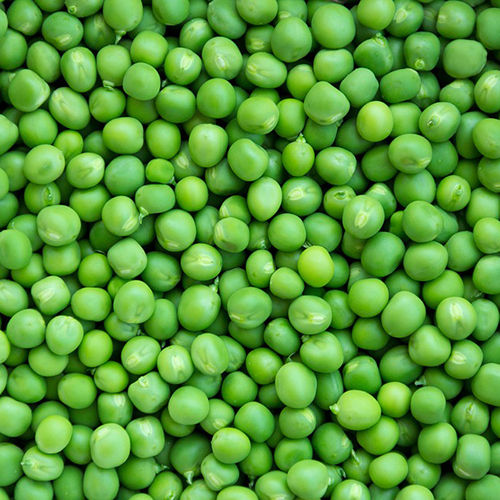 Green Peas Moisture (%): Nill