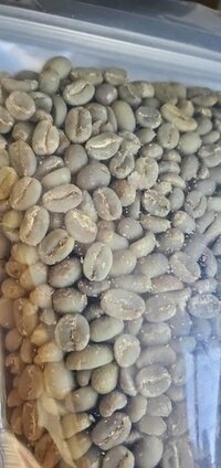 Green Coffee Beans