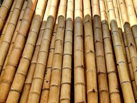 Bambusa Balcua Treated Bamboo Poles - Color: Brown