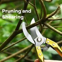 Gardening Tools - Garden Shears Pruners Scissor 1 Pc 0582