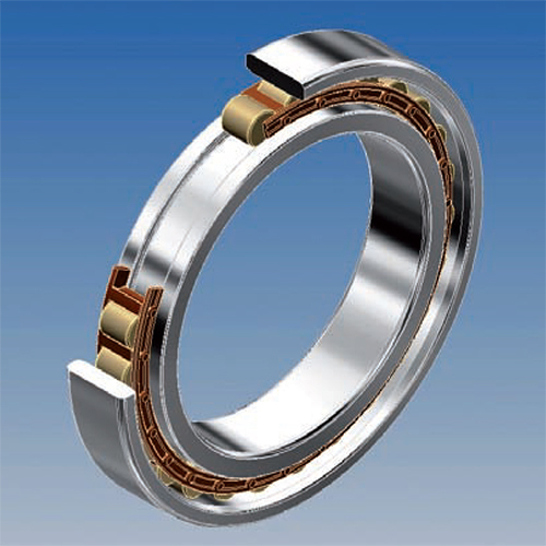 Hybrid Cylindrical Roller Bearing