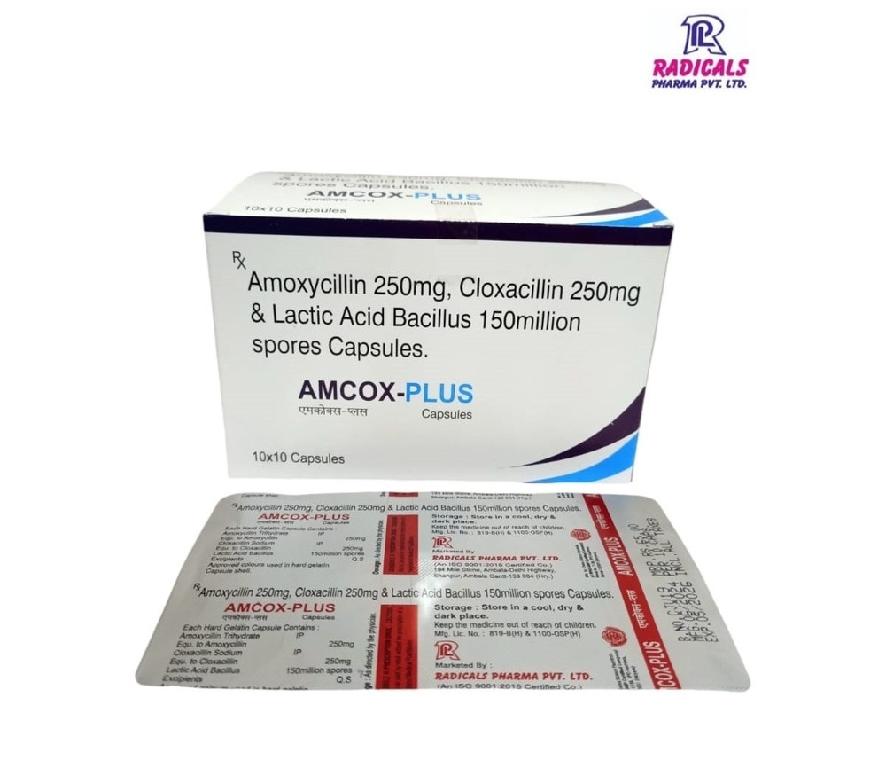 Amoxycillin Cloxacillin Capsule - Drug Type: General Medicines