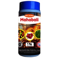 Plant Growth Promoter - Formulations Type: Powder