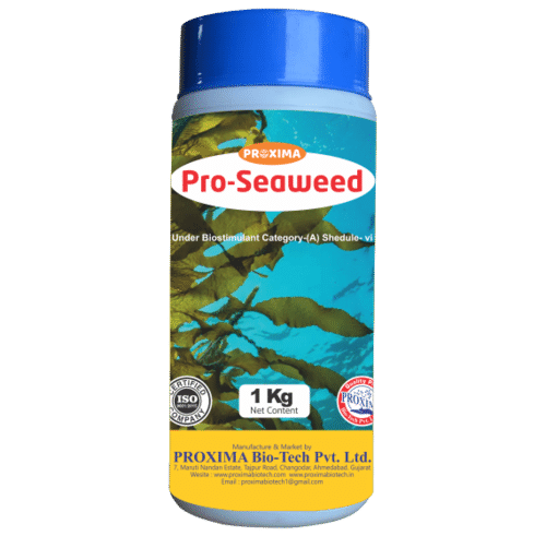 seaweed extract