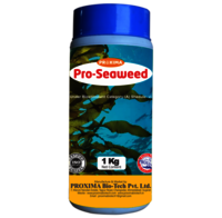 Seaweed Extract - Nutrient-rich Liquid Formula | Enhances Root Growth, Promotes Robust Plant Development