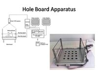 Hole Board Apparatus
