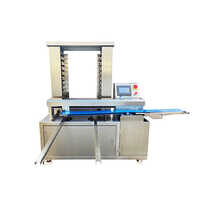 Automatic Baking Tray Sorting Machine Accuracy: High  %