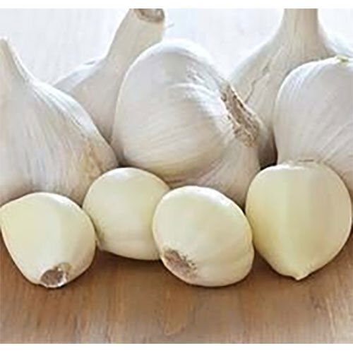 White Whole Garlic