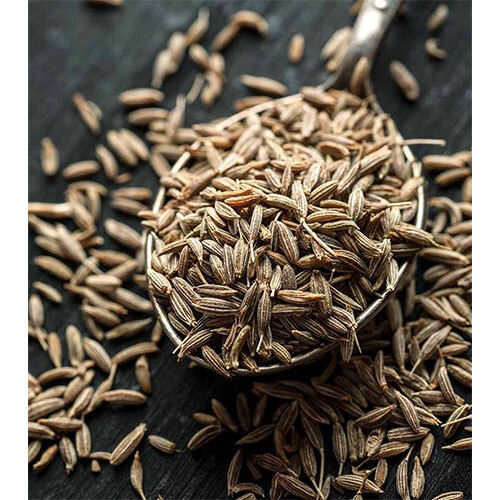 Fresh Cumin Seed (Jeera)