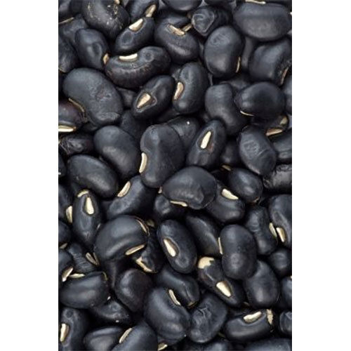 Black Bean