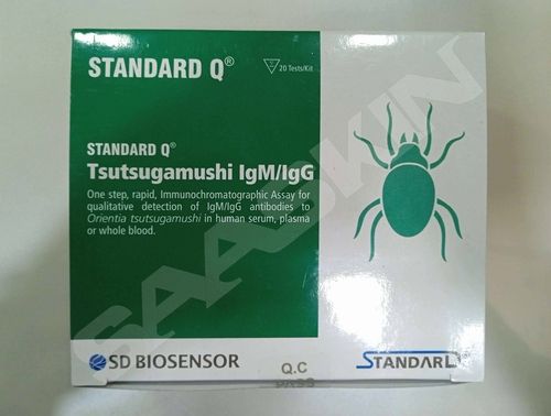 SD Biosensor STANDARD Q TSUTSUGAMUSHI IgM/IgG