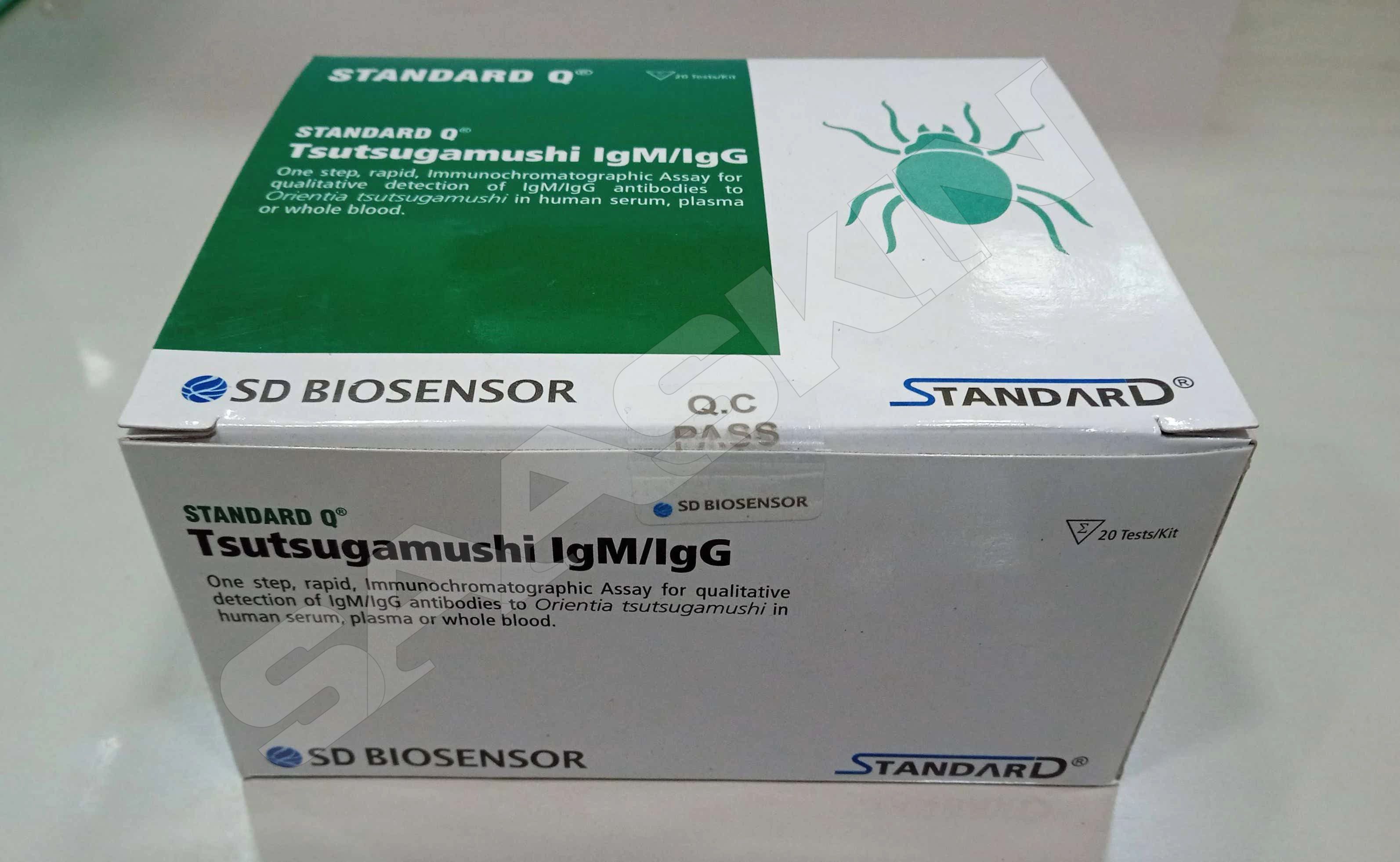 SD Biosensor STANDARD Q TSUTSUGAMUSHI IgM/IgG