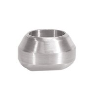 Stainless Steel Weldolet - Coating Type: None