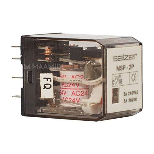 Salzer Glass Relay 2Pole 240V AC MSP2P240A