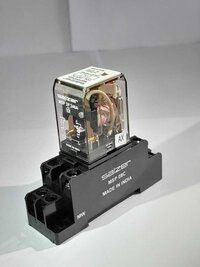 Salzer Glass Relay 2Pole 240V AC MSP2P240A