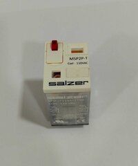 Salzer Glass Relay 2Pole 110V Ac MSP2P110A12TNE