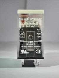 Salzer Glass Relay 2Pole 240V Ac MSP2P240A12TNE