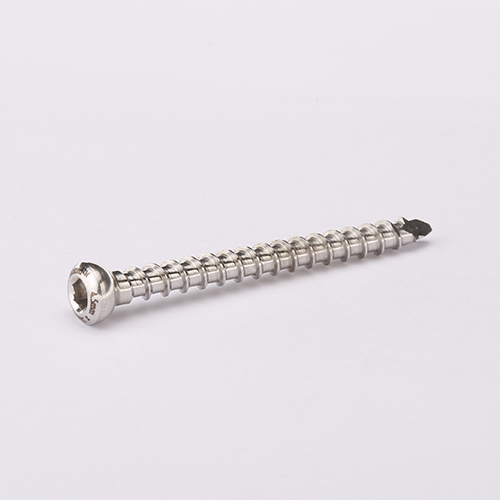 Orthopedicn4.5 MM Interlocking Bolt