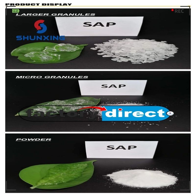 Biodegradable Hydrogel Powder Potassium Polyacrylate Sap Super Absorbent Polymer for Agriculture