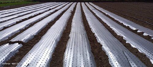 Mulching Film - Color: As Per Requirement