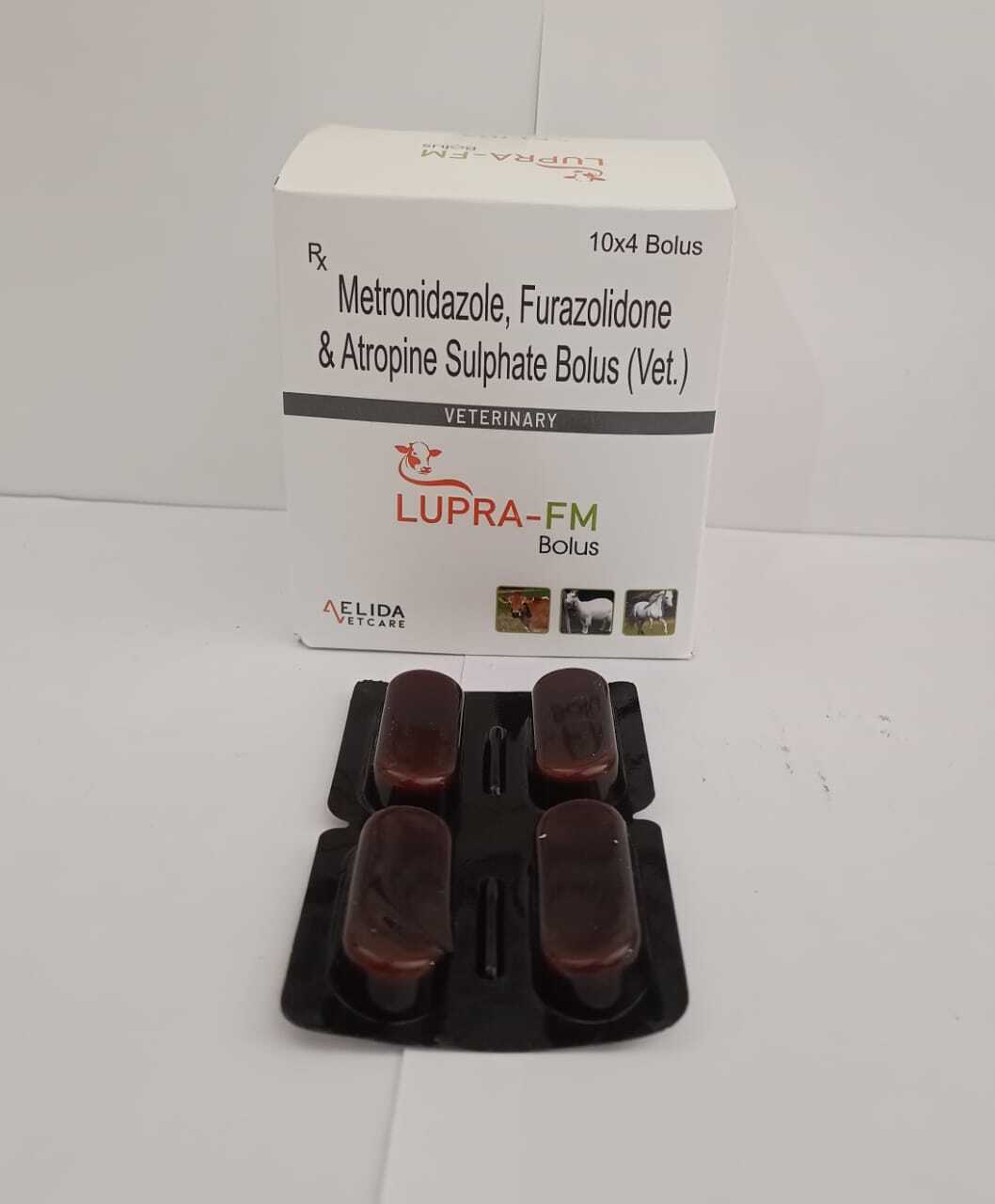 Metronidazole  Furazolidone  and  loperamite  hcl  bolus long acting