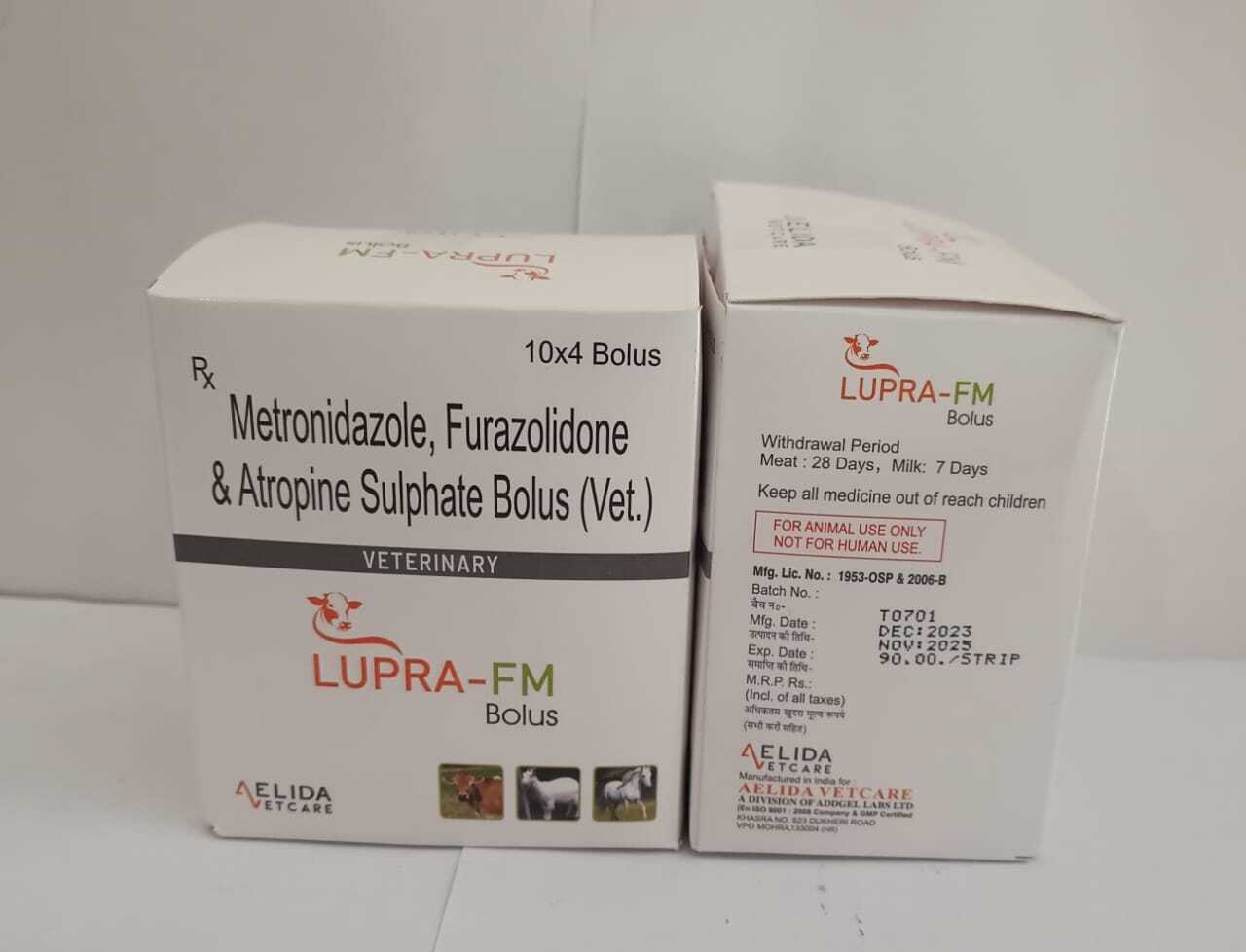 Metronidazole  Furazolidone  and  loperamite  hcl  bolus long acting