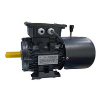 Crane Duty Motor