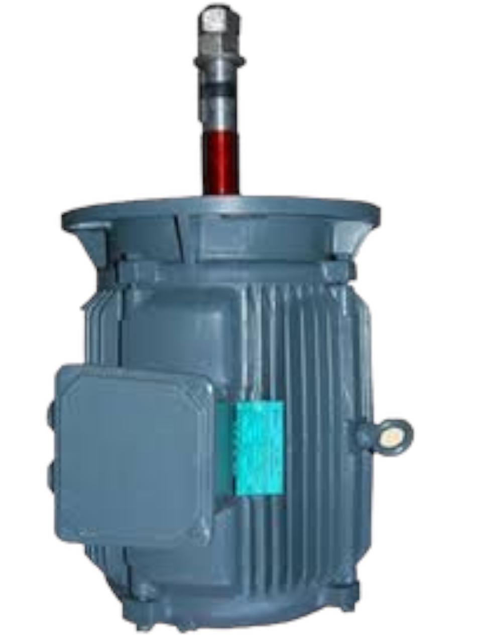 Cooling Tower Motor