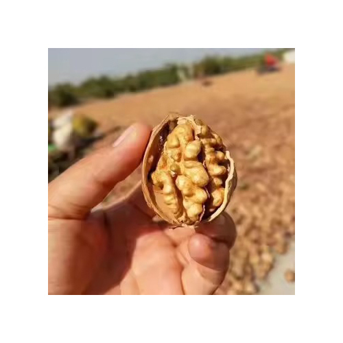 Premium Quality Walnut