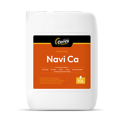 Navi Ca Amino Acid