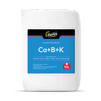 Ca B K