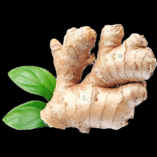 Pure Ginger Preserving Compound: Chemical Preservatives As Per Norms