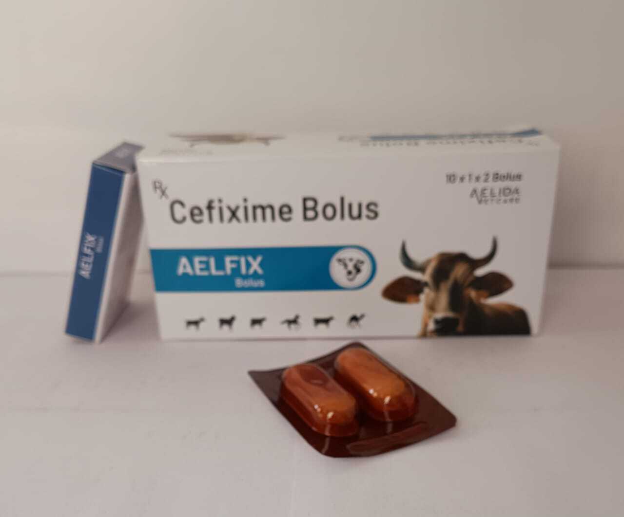 cefixime bolus  long acting