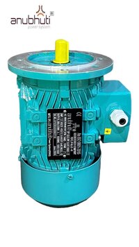 Custom Made Special Motor
