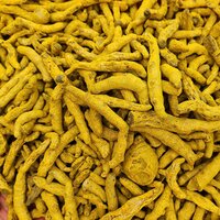Raw Turmeric Finger