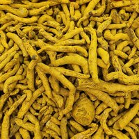 Raw Turmeric Finger